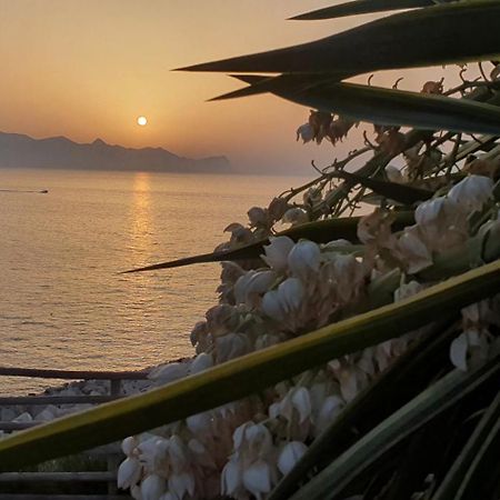 Loft In Balestrate Vicino Al Mare - Rental Beb Exteriér fotografie
