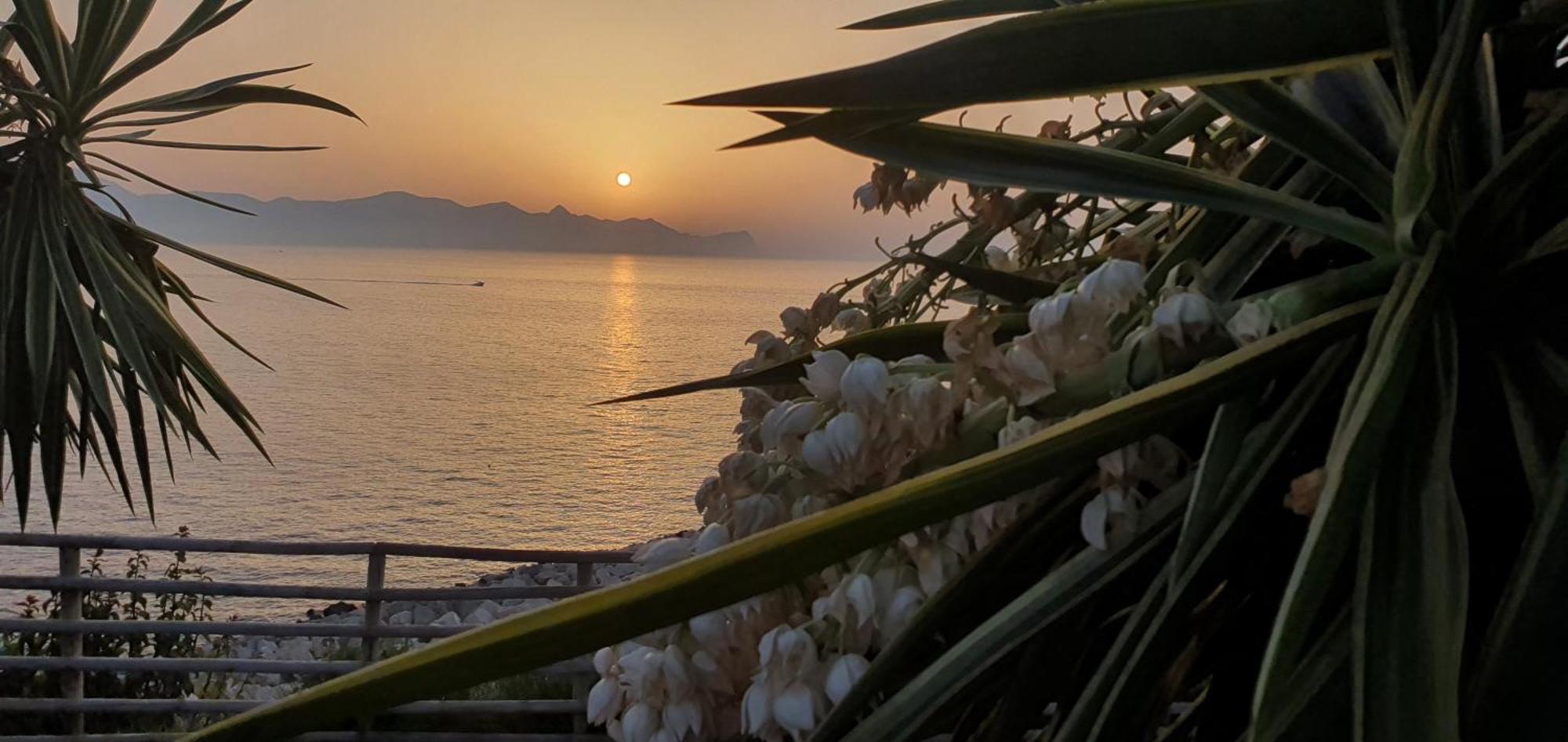 Loft In Balestrate Vicino Al Mare - Rental Beb Exteriér fotografie