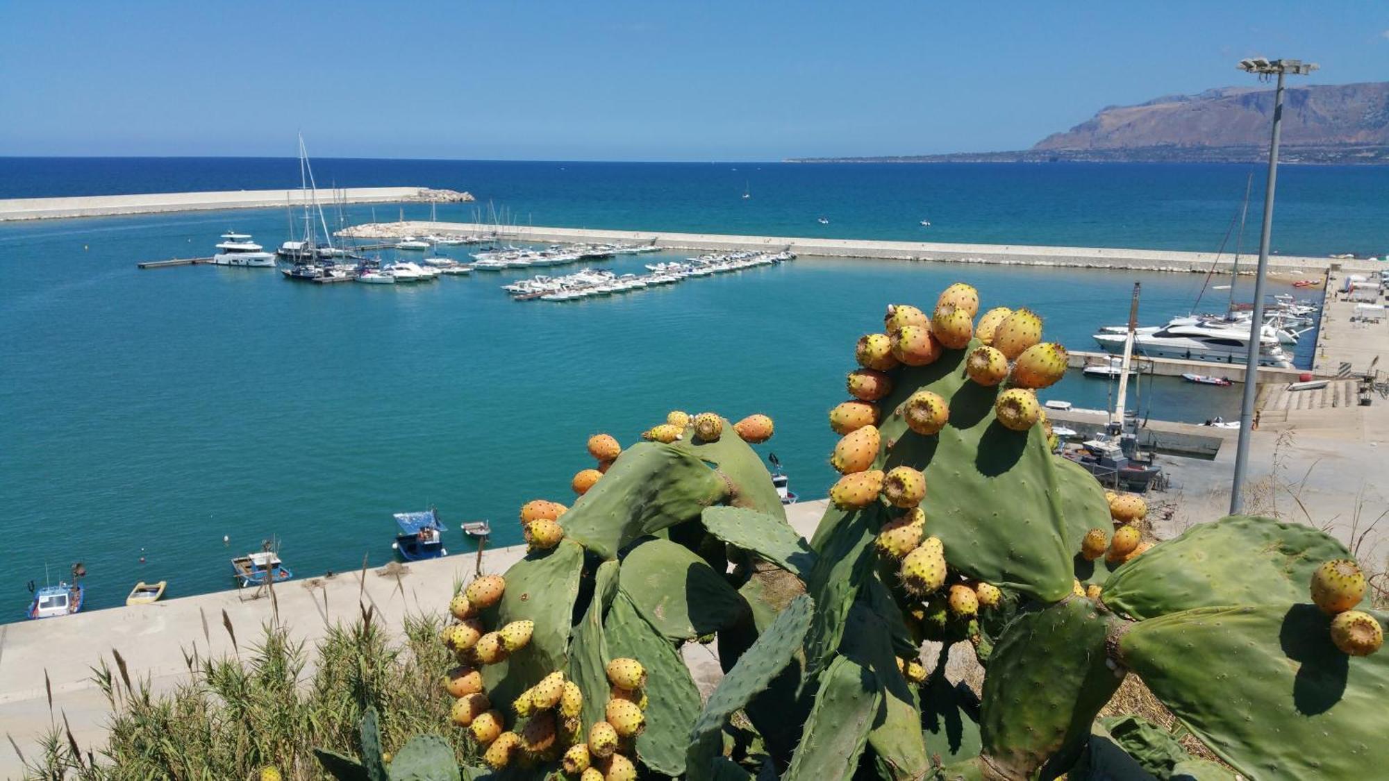 Loft In Balestrate Vicino Al Mare - Rental Beb Exteriér fotografie